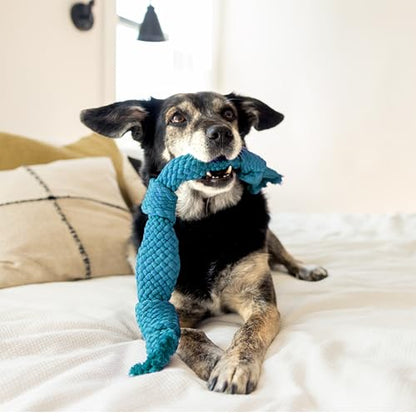 Playology Dog Toys | Dri-Tech Dental Rope Toy for Large Senior Dogs, Gentle on Teeth | Peanut Butter Scented Jumbo Toy | Dog Rope for Tug of War - size: Jumbo Rope, style: Peanut Butter