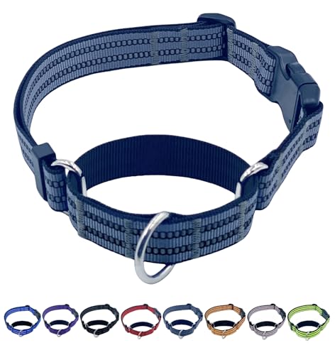 Martingale Dog Collars with Quick Release Buckle, Heavy Duty Nylon Reflective Dog Collar, NO Pull Walking Training Collar for Large, Medium, Small Dogs (Gray, Extra Small) - color: Gray, size: Extra Small