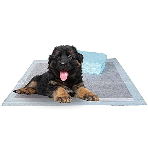 BV Charcoal Puppy Pads XL 40 Count 34"x28" - Leak-Proof Pee Pads for Dogs with 6-Layer Absorbent Design & Built-in Attractant - Dog Pad Extra Large with Charcoal for Odor Control - for Large Dogs - size: XL / 40-Count (Charcoal)