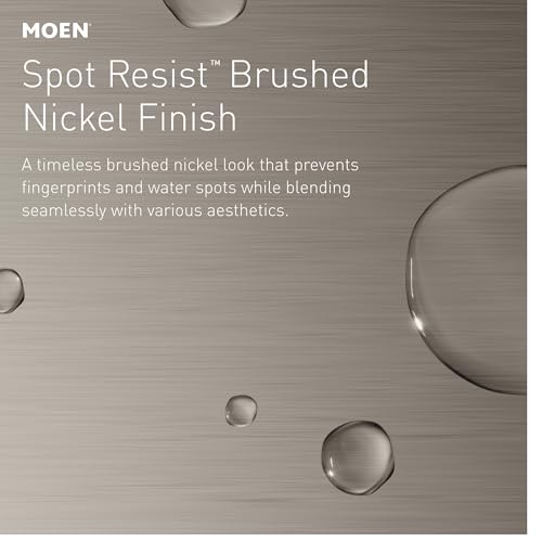 Moen Spot Resistant Remote Dock for Magnetix Handheld Shower Head, Brushed Nickel Finish, 186117SRN - color: Spot Resist Brushed Nickel