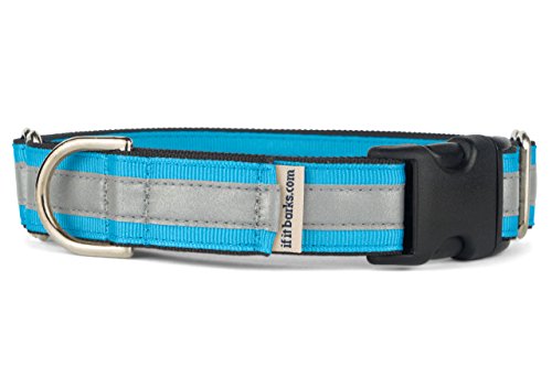 If It Barks 1" Reflective Martingale Collar with Quick Snap Buckle for Dogs, Adjustable, Made in USA,Large, Turquoise - color: Turquoise, size: Large w/Buckle