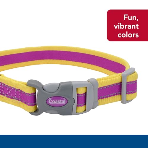Coastal Pet - Pro - Reflective Adjustable Dog Collar, Purple with Yellow, 1" x 14-20" - color: Purple with Yellow, size: 1" x 14-20" (Pack of 1)