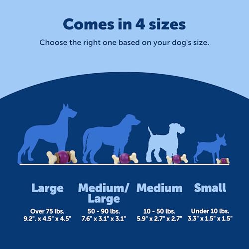 PetSafe Busy Buddy Bouncy Bone, Treat Holding Dog Toy, Medium, Best for Dogs 10-50 Lb. - size: Medium, style: Bouncy Bone