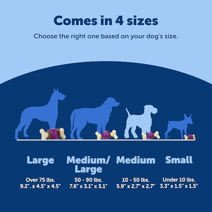 PetSafe Busy Buddy Bouncy Bone, Treat Holding Dog Toy, Medium, Best for Dogs 10-50 Lb. - size: Medium, style: Bouncy Bone