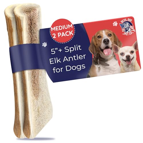 Devil Dog Pet Co. Split Elk Antlers for Dogs, Natural Dog Chew with Exposed Marrow - Long Lasting and Odor Free - USA Sourced - Cleaner Teeth, Anxiety & Boredom Relief - Medium 5"+ 2 Pack - style: split - Medium - 2 Pack