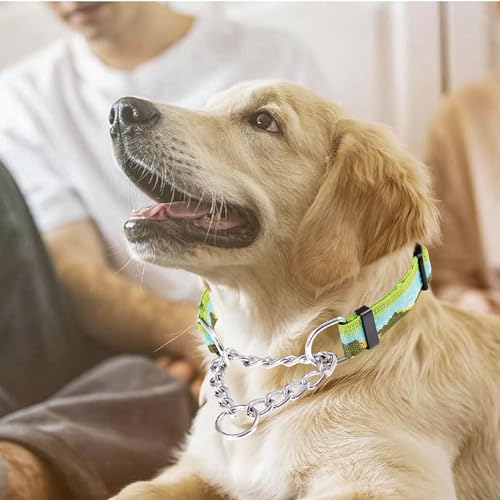 Martingale Dog Collars with Stainless Steel Chain, Reflective No Pull Walking Training Collar with Quick Release Buckle, Adjustable Slip Chain Nylon Dog Collars for Small Medium Large Dogs - color: Green and blue, size: Medium