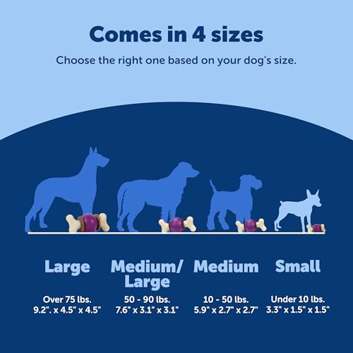 PetSafe Busy Buddy Bouncy Bone, Treat Holding Dog Toy, Small, Best for Dogs Up to 10 Lb. - size: Small, style: Bouncy Bone