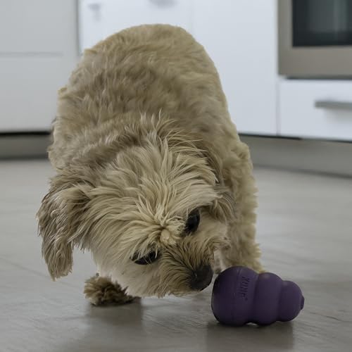 KONG Senior - Dog Toy with Gentle, Natural Rubber - Durable Dog Toy for Older Dogs - Use Treats with Stuffable Chew Toy - Treat Toy for Chewing & Fetching - for Small Dogs - size: Small (Pack of 1)