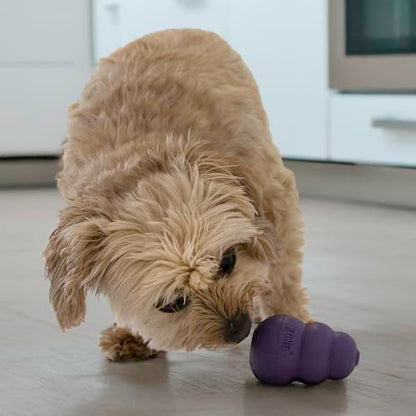 KONG Senior - Dog Toy with Gentle, Natural Rubber - Durable Dog Toy for Older Dogs - Use Treats with Stuffable Chew Toy - Treat Toy for Chewing & Fetching - for Small Dogs - size: Small (Pack of 1)