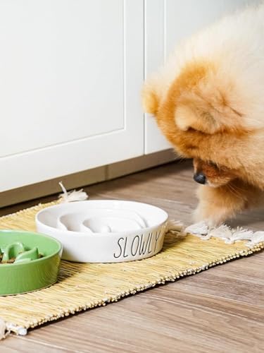 LE TAUCI PET Ceramic Elevated Slow Feeder Dog Bowl - 0.6 Cup Puzzle Feeder with Wooden Stand for Small Breeds, White Pet Dish - color: White+Stand, size: S-0.6 Cups
