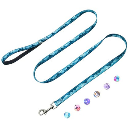 5ft Nylon Dog Leash with Soft Neoprene Handle for Small Dogs, Blue Sunset - color: Blue Sunset, size: 5/8in x 5ft - Single Handle