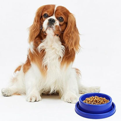 Ants Away Dog Bowl Cat Puppy Food Bowls Round No Spill Yellow M | Ant proof, safe food-grade plastic, anti-slide bottom, ant-block moat barrier, standard feeding size for small to medium dogs - color: Yellow, size: Medium