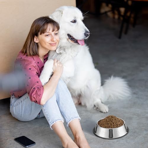 Tanlade 8 Pack Stainless Steel Dog Bowls Metal with Rubber Base Non-Slip Pets Puppy Cats Feeding Food and Water Bowls Dishwasher-Safe for Indoor Small Medium Large Dogs Cats Kitten Rabbit(18.6 oz) - size: 18.6 oz
