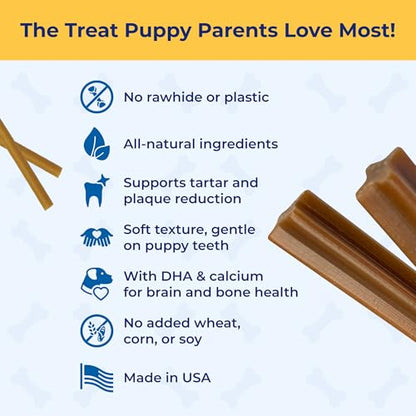N-Bone Puppy Teething Sticks, Peanut Butter Flavor, Natural Puppy Chew Sticks & Teething Treats, SQF Certified, Made with Rice Flour for Easy Digestion, Calcium Enriched (3.7oz) - size: 3.7 Ounce (Pack of 1)