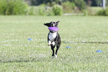 Hyperflite Z-Pup Hyperflex Flexible Dog Flying Disc, Small Dogs | Ultra Flexible, Puncture Resistant | 7.25-inch, 112g | Small Dogs | Purple
