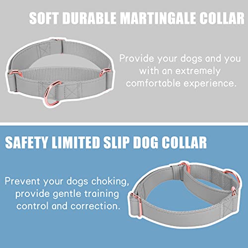 Soft Leather Martingale Dog Collar - Adjustable Rose Gold Limited Slip Collars [Easy to Clean], Stylish Durable Heavy Duty Nylon No Pull Training Collar for Small Medium Large Dogs XS Grey - color: Grey, size: XS (Neck 8"-11", Width 3/5")