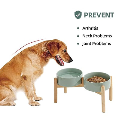 Havniva 8.3inch Ceramic Raised Dog Bowl with Stand, Double Dog Bowls Elevated for Large Breed Dog Food and Water Bowl Set Non-Slip Dog Dish Large Capacity Feeding Pet Water Bowl - color: 2 Bowls+Stand - Light Green, size: 8.3inch