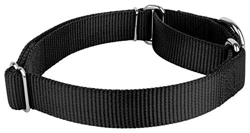Country Brook Petz - Black Martingale Heavyduty Nylon Dog Collar and Double Handle Leash (3/4 Inch, Small) - color: Black, size: Small (Pack of 1)