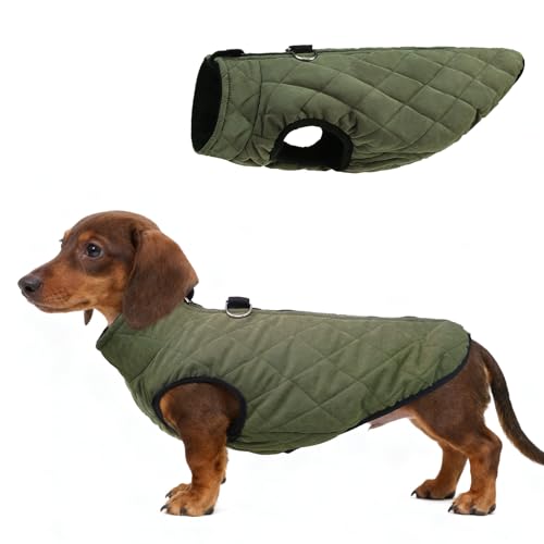 SCENEREAL Dachshund Winter Dog Vest Coat with Harness Built in, Warm Puppy Jacket for Small Medium Dogs, Cold Weather Coat with Zipper, Fleece Puffer Vest Windproof Snow Clothes - color: #1 Olive-Matte, size: M(Chest 17.5")-Dachshund