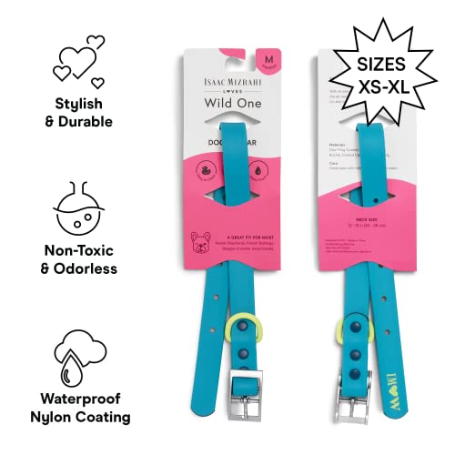 Wild One Dog Collar, Easy-Clean, All Weather Flex-Poly Strap with Metal, Durable, Dirt and Odor Resistant (Hudson, XL) - color: Hudson, size: XL