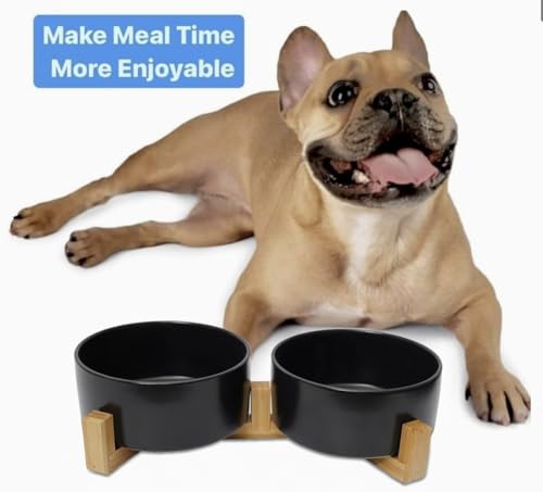 Ceramic Cat and Small Dog Bowl Set – Modern Indoor Small Size Pet Food and Water Bowls with Wood Stand – Non Slip Puppy Sized Feeding Station with Double Dishes (Black) - color: Black
