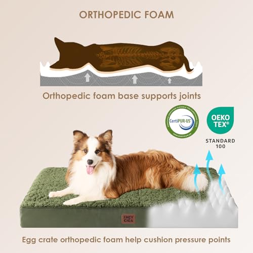 EHEYCIGA Orthopedic Foam Dog Bed, Medium, 30"L x 20"W x 3.5"Th, Dark Green - color: Olive Green, size: 30*20*3.5 inches