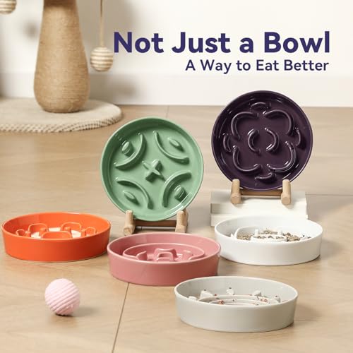 Ceramic Slow Feeder Dog Bowl, 0.8 Cups Anti -Slip Slow Feeding Bowl to Slow Down Eating, 6.3 Inch Dog Food Dish for Small Breeds, Grey - color: Grey, size: Small