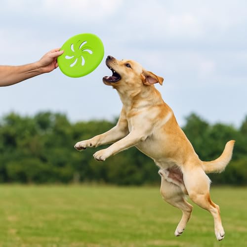 Dog Flying Disc Large EVA Material Pet Toy Outdoor Fetch Training Disc Durable Bite Resistant Safe on Teeth Lightweight Floating Interactive Disc (Green) - color: Green