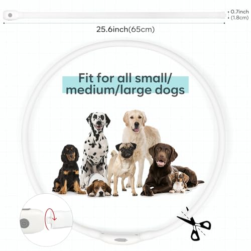 HIGO RGB LED Dog Collar Light - USB Rechargeable Light Up Dog Collars, Safety LED Dog Necklace for Your Dogs Walking at Night (Multi-Color) - color: Multi Color