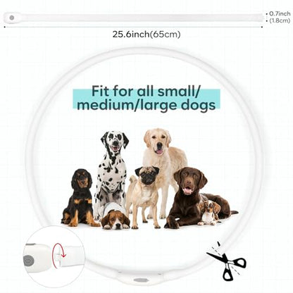 HIGO RGB LED Dog Collar Light - USB Rechargeable Light Up Dog Collars, Safety LED Dog Necklace for Your Dogs Walking at Night (Multi-Color) - color: Multi Color
