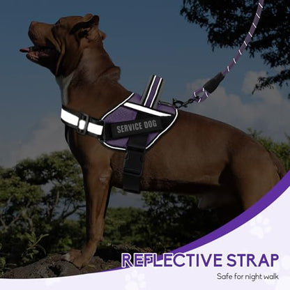 Service Dog Harness and Leash Set, XS, Purple, with 10 Patches, Reflective, for Small Dogs - color: Purple, size: XS