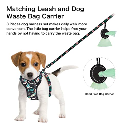 Petmolico Dog Harness for Small Dogs, Cute Harness Vest with Two Leash Clips and Soft Handle, Reflective Easy Walk Puppy Vest - Black Lotus, Small - color: Black Lotus, size: Small