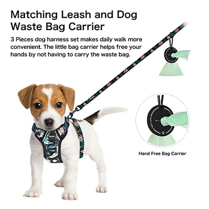 Petmolico Dog Harness for Small Dogs, Cute Harness Vest with Two Leash Clips and Soft Handle, Reflective Easy Walk Puppy Vest - Black Lotus, Small - color: Black Lotus, size: Small