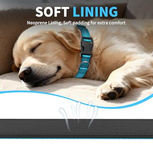 Reflective Dog Collar with Buckle, Heavy Duty Dog Collars with Soft Padded, Adjustable, Ultra-Durable, Pet Collar for Small Medium and Large Dogs (SkyBlue, L) - color: BLUE, size: L (18-26'')