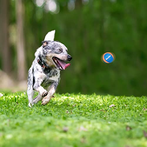 BINGPET Dog Pool Toy,2 Pack Water Floating Ball for Summer Pool Games,Dog Water Bouncing Balls,Interactive Dog Summer Games Toys,Soft Dog Chew Balls for Small and Medium Dogs - color: Orange
