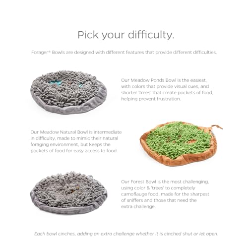 Pet Parents Forager Bowls, Slow Feeder Dog Bowls with SoftSnout & Non-Slip Backing Technology, Dog Feeder Mat & Snuffle Mat for Large Dogs and Small Dogs (Forest Modern Grey)