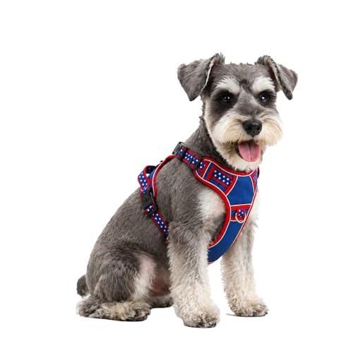 Small Dog Harness No Pull, Puppy Harness with 3 Quick Snap Buckles, Escape Proof Easy Walk Vest for Pug, Mini Schnauzer, Lightweight Tactical Pet Doggy Gear with Handle (S Size) - size: Small
