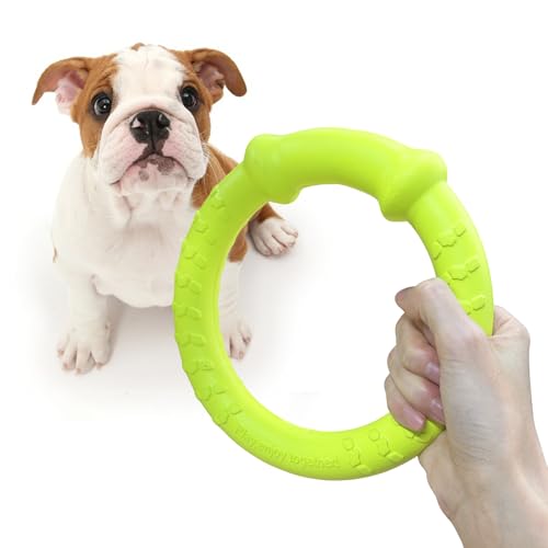 LaRoo Dog Flying Ring Toys, Floating Flying Disc ABS Durable Interactive Chew Toys for Training Outdoor Playing Puppy Medium Large Dogs (Small Green/18cm) - color: Green-S