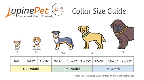 LupinePet Waterproof Splash Dog Collar, Brick Red, 1-inch Wide, adjusts 25-31", Made with BioThane - color: Brick Red, size: X-Large: Adjusts from 25 to 31 in, 1-in wide