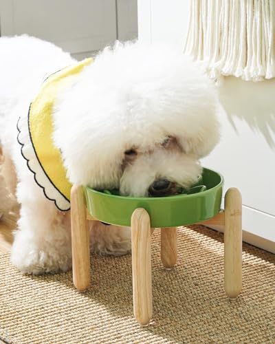 LE TAUCI Ceramic Slow Feed Dog Bowls, Elevated for Small Breeds, Anti-Gulping, Non-Slip, 6 inch, Green - color: Clover Green+Stand, size: S-0.6 Cups
