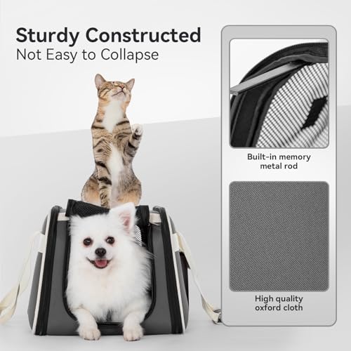 PETSFIT Airline Approved Cat Carrier with Wheels Designed for Small Dogs/Cats with Adjustable Safety Rope & Removable Wheels - color: Gray, size: 20.1"L x 12.2"W x 14.2"H