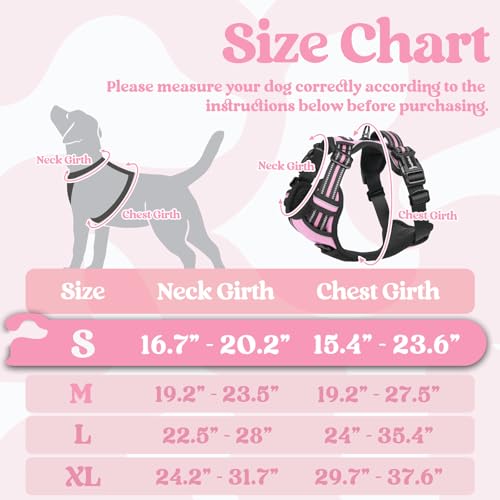 rabbitgoo Dog Harness Small Sized, No Pull Easy On & Off with 3 Buckles Pet Harness, Adjustable Soft Walking Vest with 2 Clips and Handle, Reflective for Small Dogs, Pink, S - color: Pink, size: Small