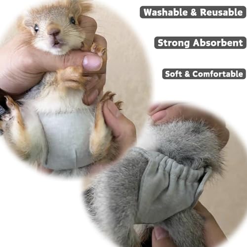Washable Squirrel Diapers - Extra Small Reusable Pet Cloth Diapers Highly Absorbent Leak-Proof Urine Wet Pants with Adjustable Waistline for Indoor Squirrel (Grey, M (3.9" - 6.3"), Count, 1) - color: Grey