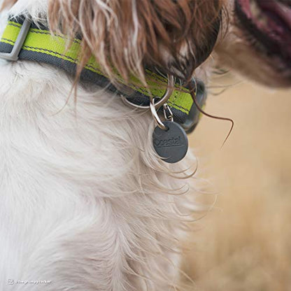 EZ Change Dog I.D. Clip with Silencer