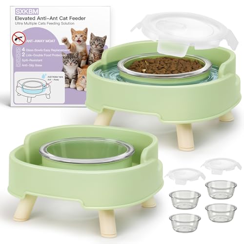 2 Pack Ant Not Cross Elevated Cat Bowls Mess Proof-4 Food Grade Glass Bowls & 2 Lids- No Spill Cat Food and Water Feeding Station for Cats&Puppy Indoor & Outdoor,No Whisker Fatigue Dish,Green - color: Green, size: 2PACK-4BOWLS