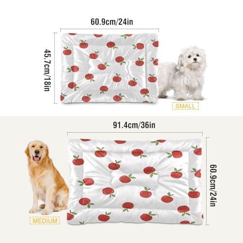 Apples Pattern Pet Bed Mat for Dogs and Cats, Soft Washable Crate Pad with Non-Slip Bottom, Cozy Bed Cushion for Small Medium Large Pets, 24x36 Inch - size: Medium