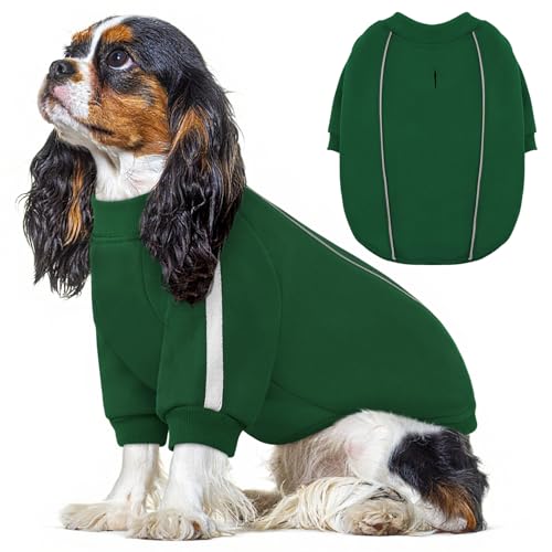 Queenmore XS Christmas Dog Sweater, Cozy Fleece Dog Sweatshirt, Warm Winter Fleece Jacket for Small, Medium & Large Dogs with Leash Hole/Reflective Stripes Green - color: Green, size: X-Small