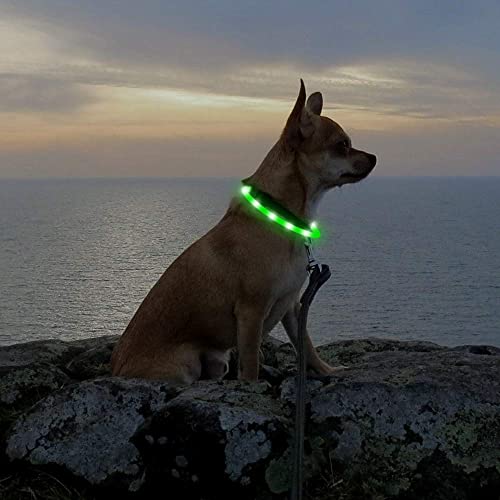 LED Dog Collar - HIGO Light Up Dog Collars Glow in the Dark, USB Rechargeable LED Dog Necklace Light for Your Dogs Walking at Night (Green-Silicone) - color: Green-Silicone