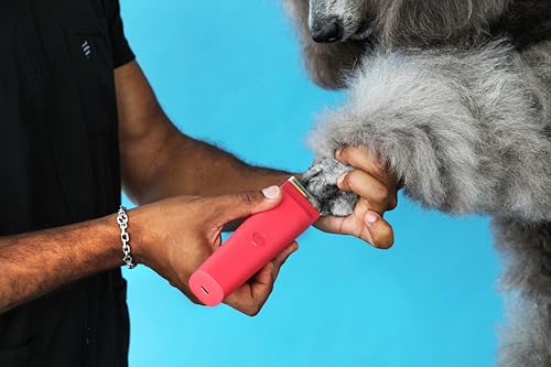 Andis 79125 Vida 5-in-1 Cordless Adjustable Blade Pet Hair Clipper, 11-Piece Kit, Non-Slip Design, Slim Profile, Versitile Fit, Grooming, Raspberry - color: Raspberry