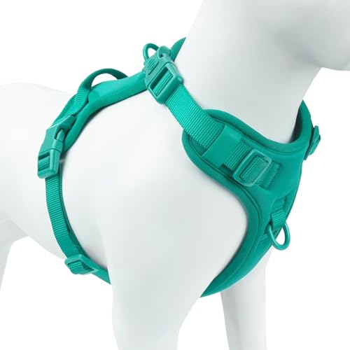 No Pull Dog Harness, Puppy Vest with Front Clip for Small Medium Large Sized Dog(MARRS Green,XL) - color: MARRS Green, size: XL(Neck:24.8-38.6", Chest:29.1-45.3")
